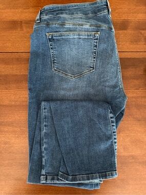 Seraphine Blue Skinny Jeans with Subtle Fading